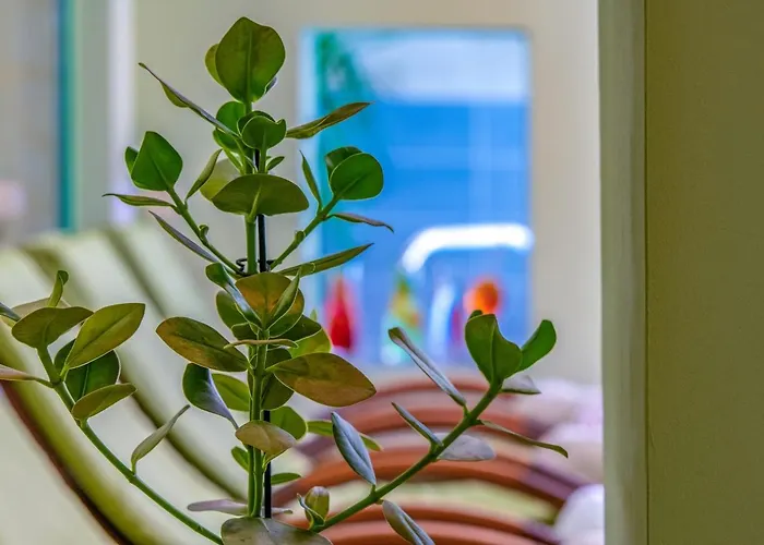 Alpenblick Kreischberg Hotel Sankt Lorenzen ob Murau